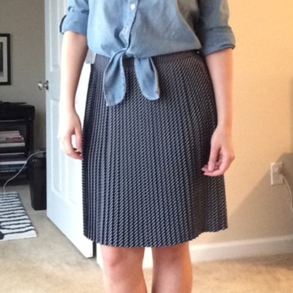 The Limited Pleated Striped Skirt Medium